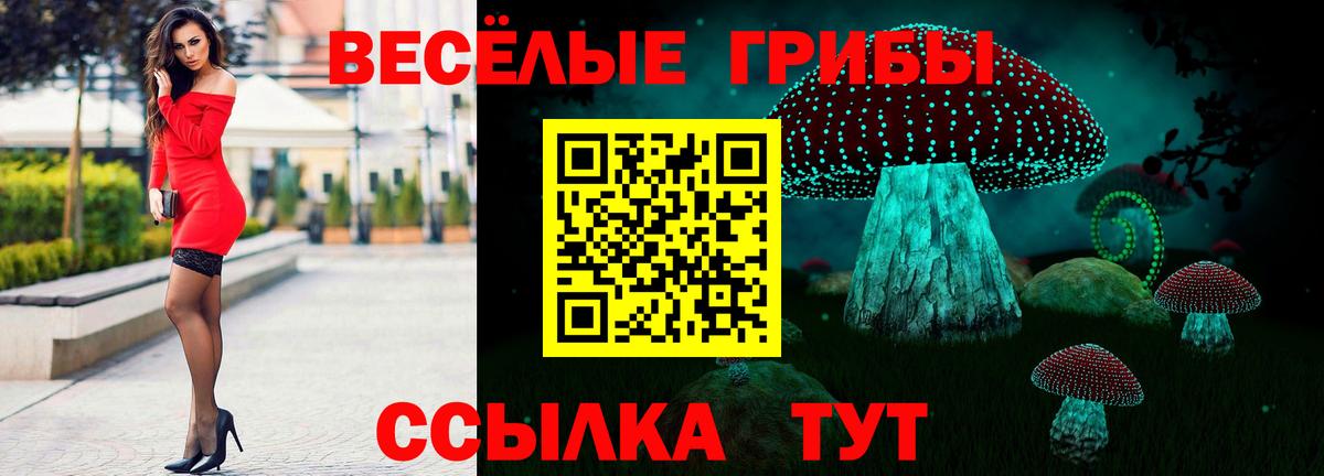 Боровичи  Галлюциногенные грибы ЛСД  Вход с VPN 